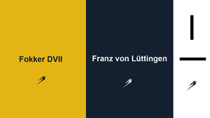 Fokker VDII Oratex Bespannung